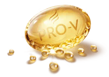 PROV-V