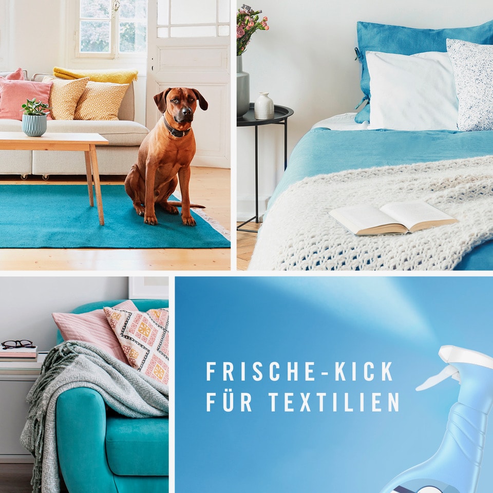 Eine Bildkachel mit 4 Bildabschnitten. Hund in der Wohnung. Bett. Sofa. Febreze Produkt