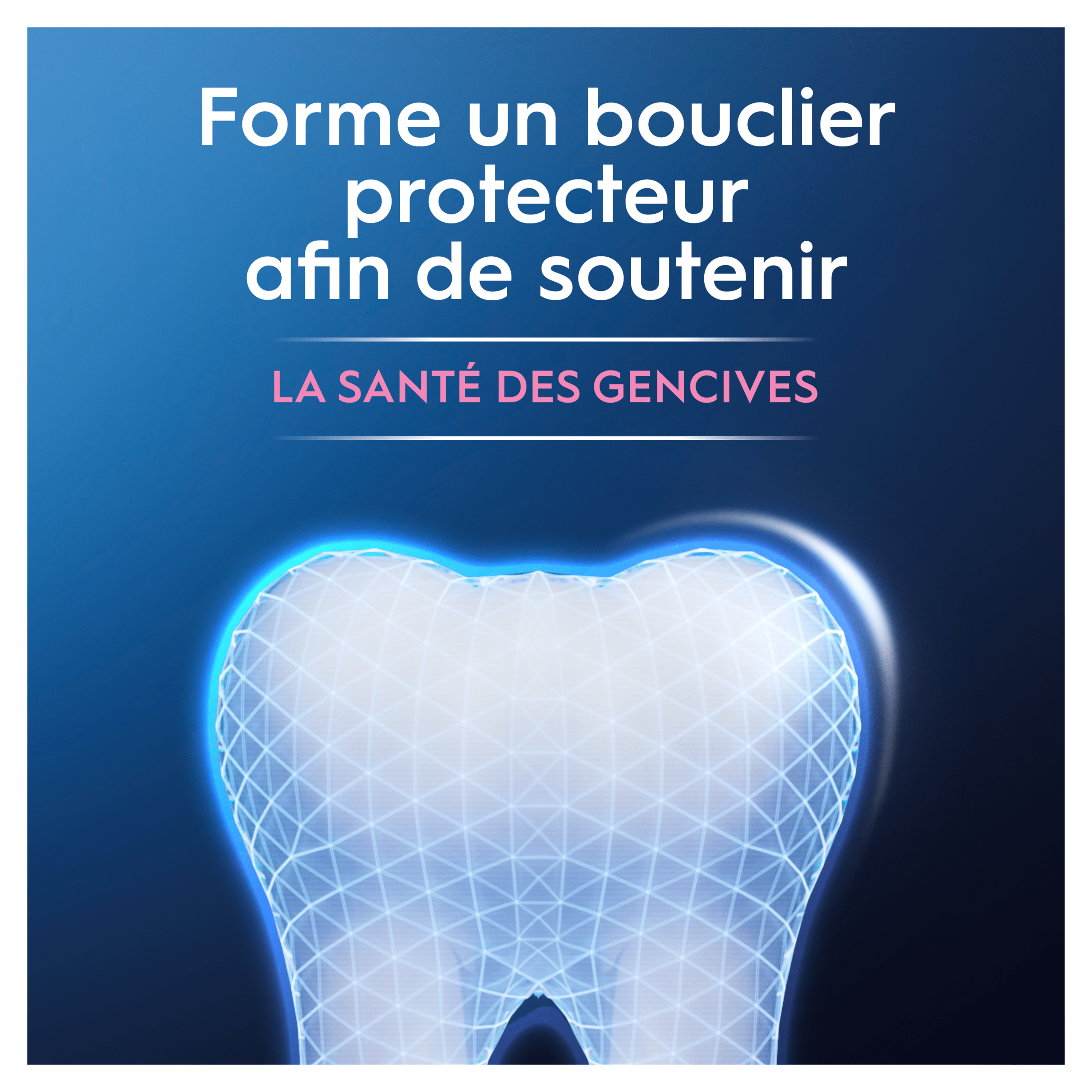 Oral-B Professional Protection gencives