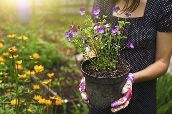 mujer-jardineria