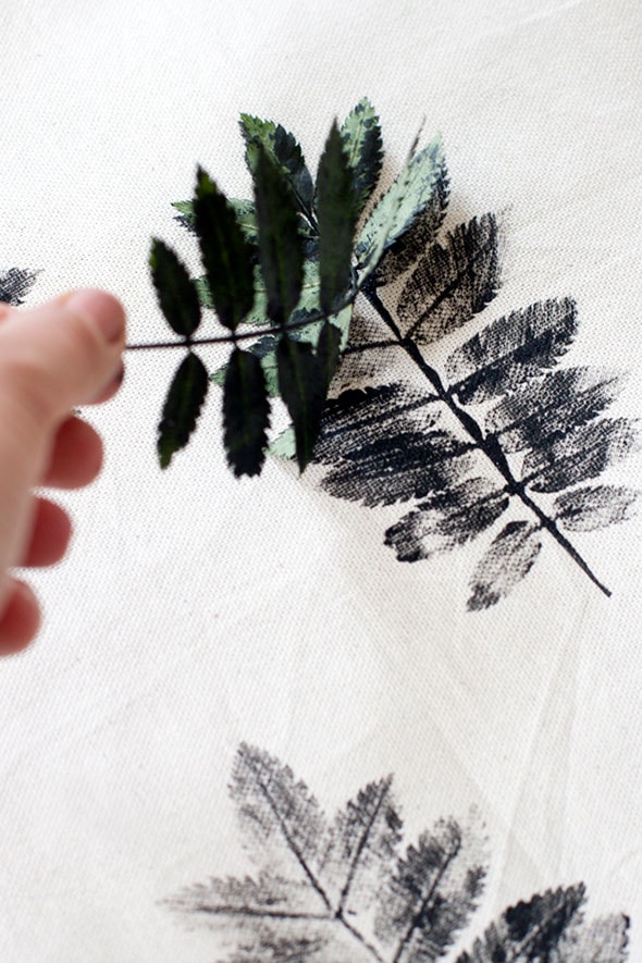 Une feuille de plante enduite d'encre et laissant sa marque sur une toile