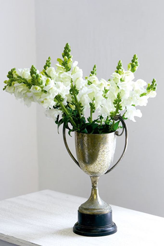 Witte bloemen