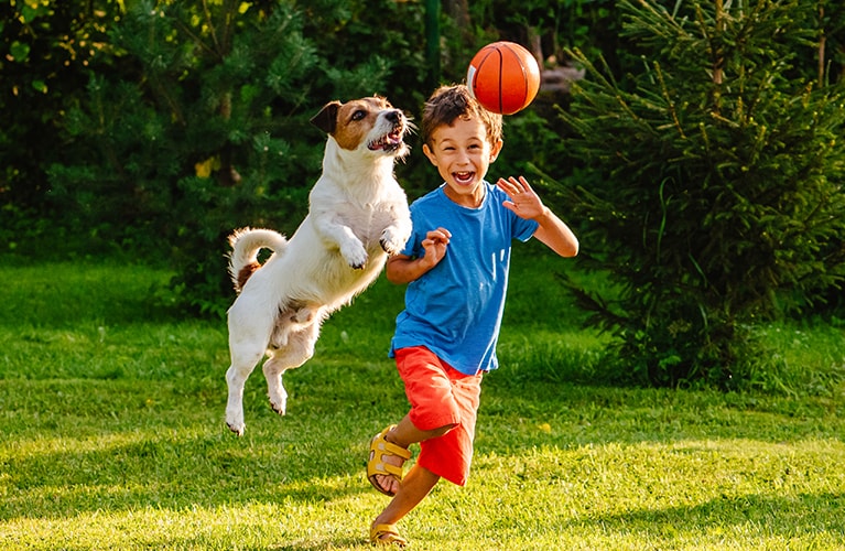 Kind das mit dem Hund und einem Ball spielt