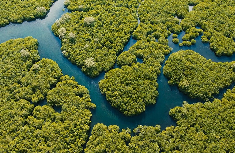 Für die Dekade 2020 bis 2030 klimaneutral: Wie P&G zum Klimaschutz beiträgt