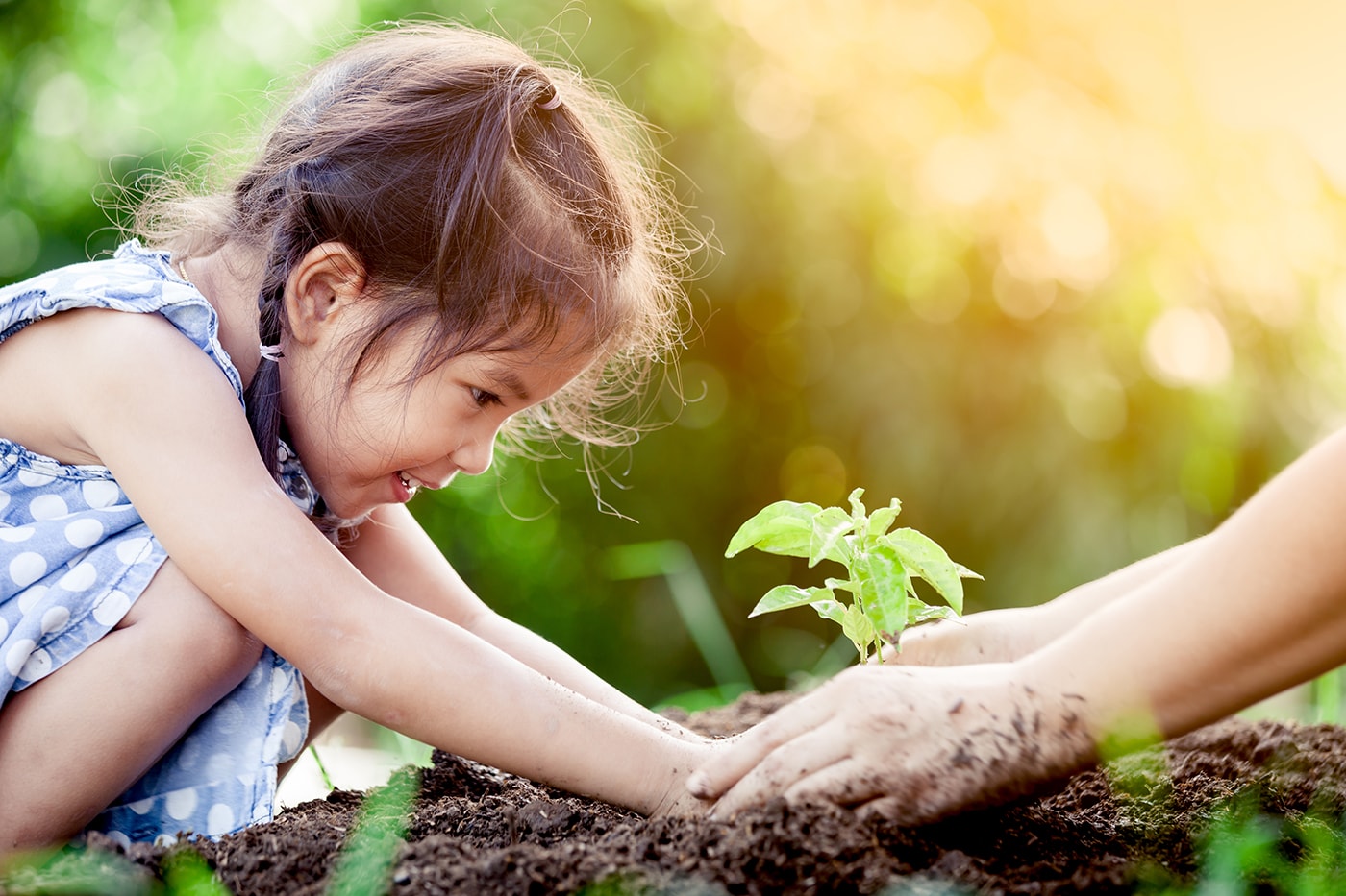 Bedeutung des Waldes: Kleines Mädchen hilft, einen Baum zu pflanzen.