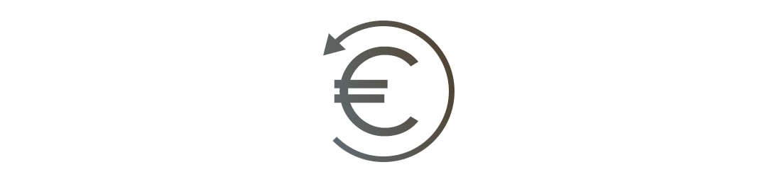 icono euro