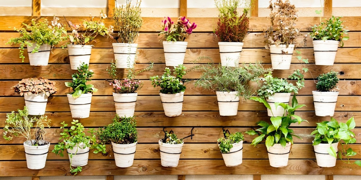 Ideas para decorar tu jardín | Proxima a ti