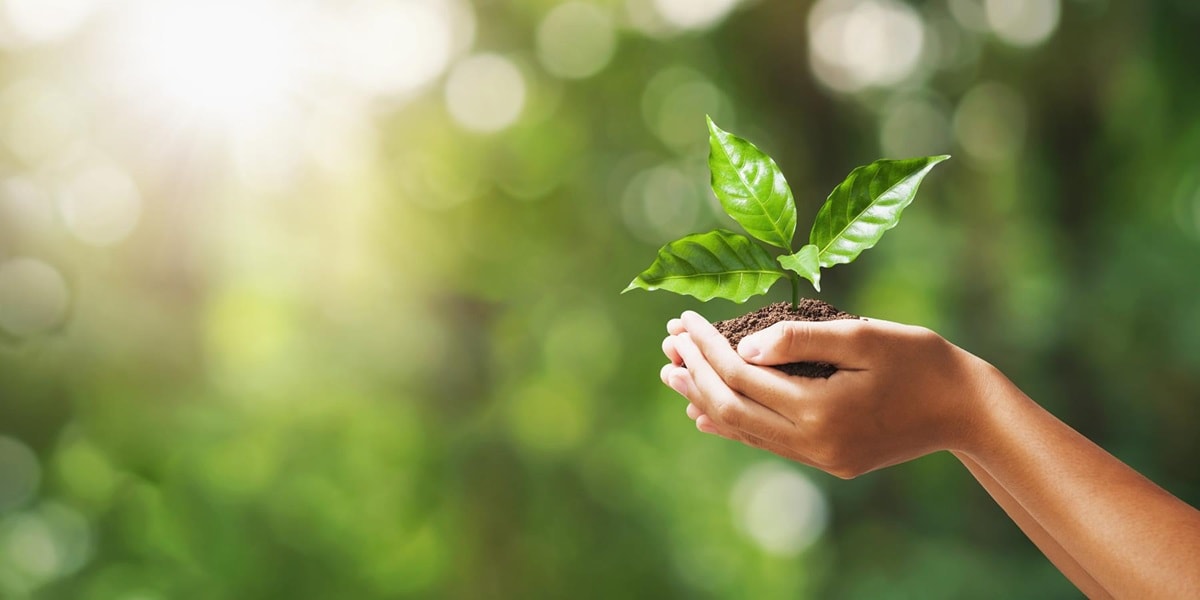 Découvrez les ingrédients de nos produits Febreze