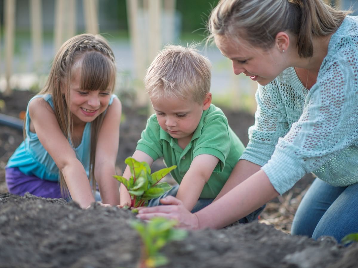 Fun gardening ideas for kids
