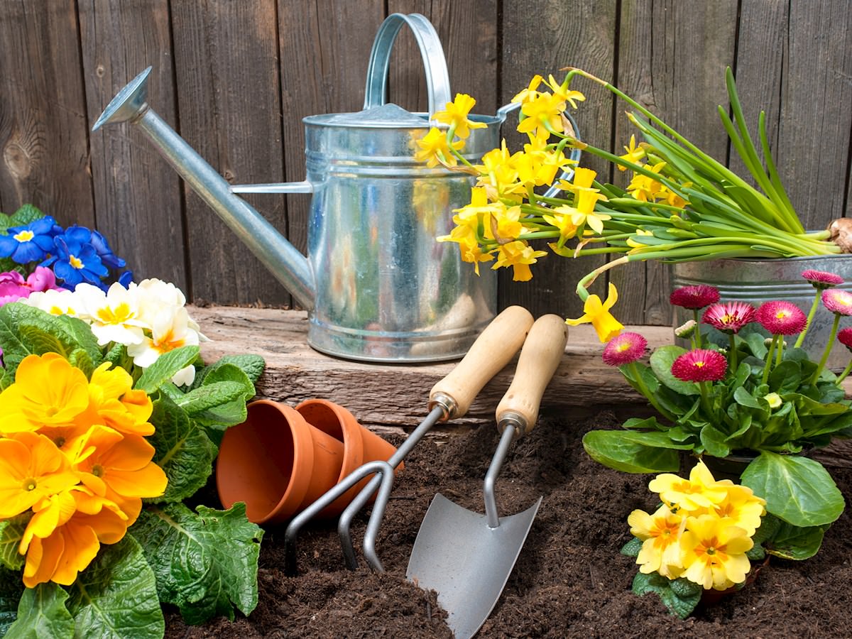 6 free garden makeover ideas